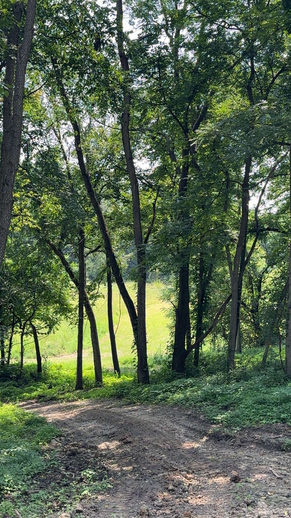 Hole 6 Hole tee