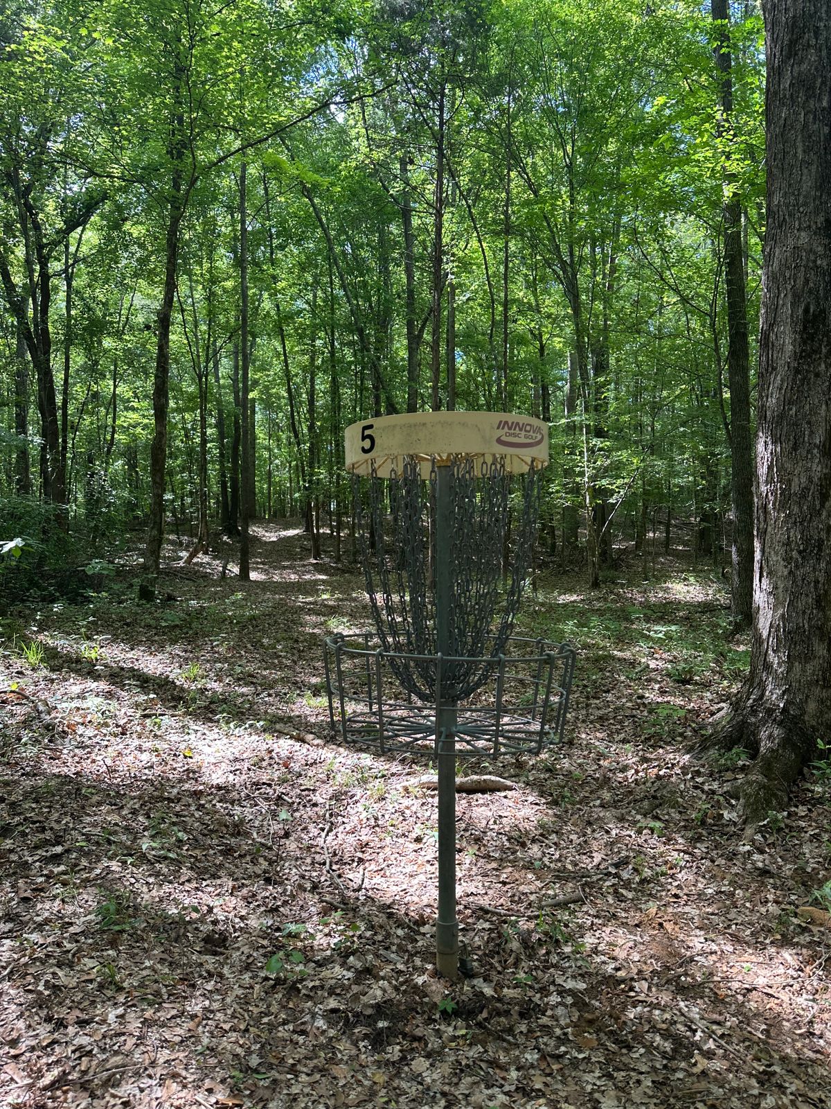 Hole 5 basket (looking up fairway to tee)