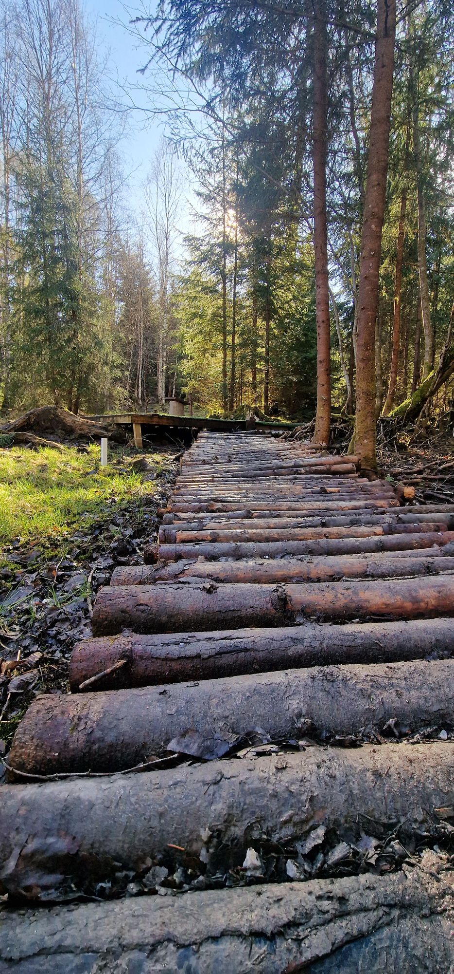 Plenty of new bridges to stay dry in 2025