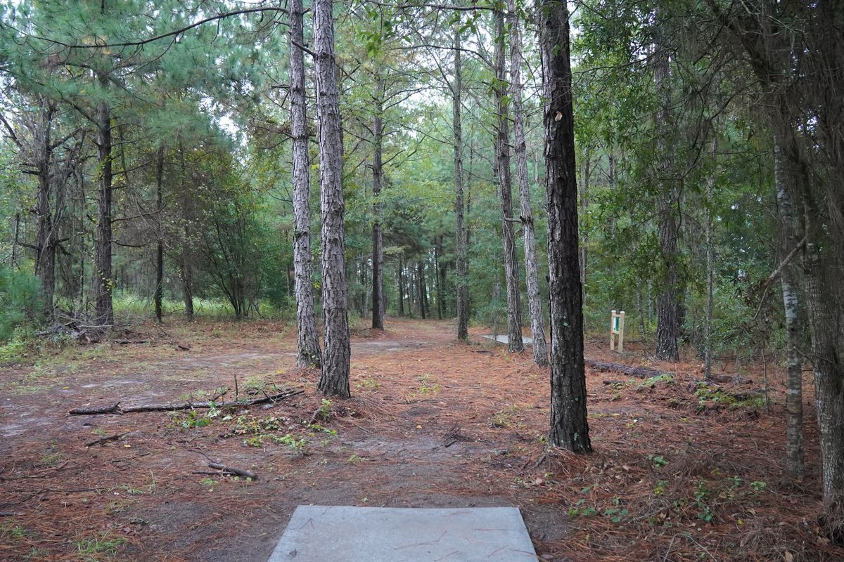 Hole 9 from the long tee