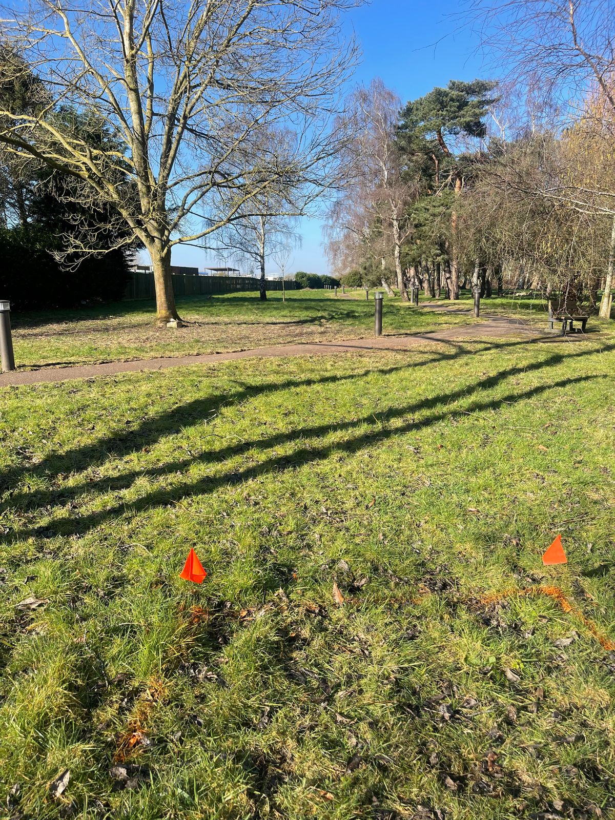 Hole 3 tee area