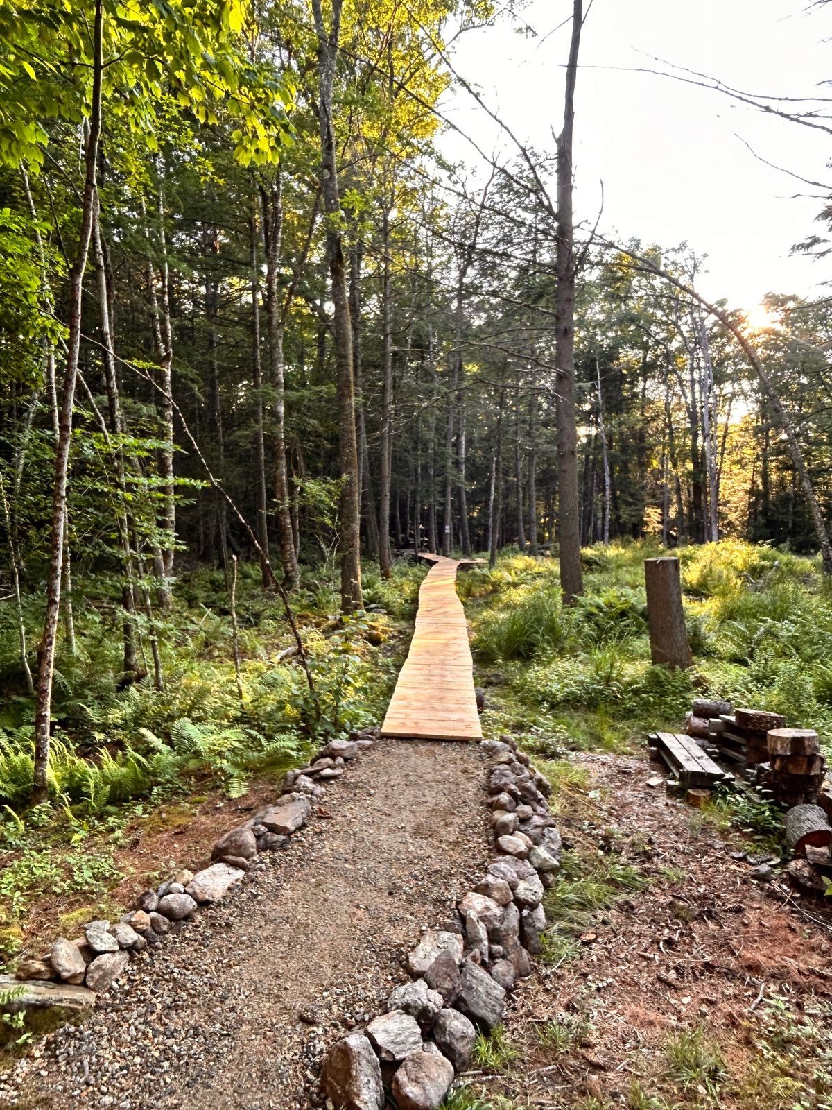 Killer raised walking path from basket 1 to hole 2 white and red tees. Always improving.
