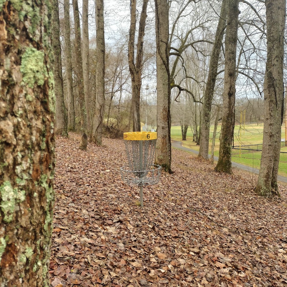 #6 Basket. The only wooded hole.