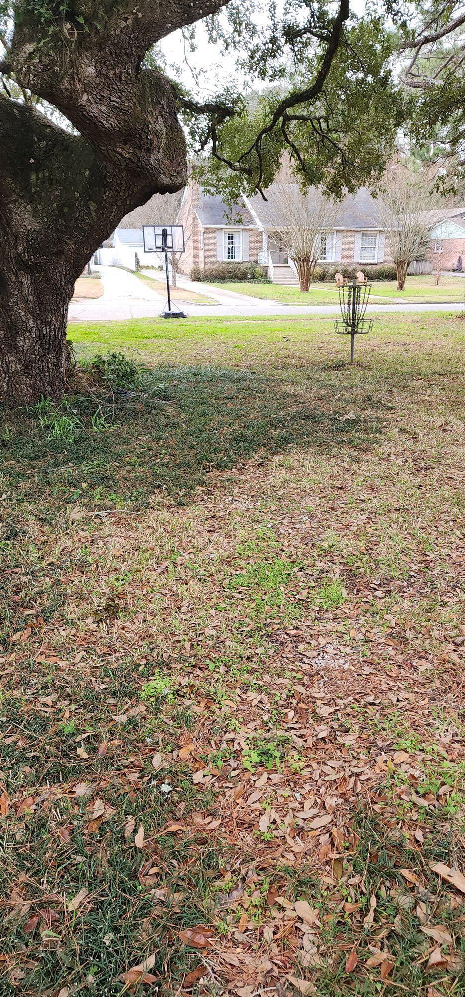 Hole 1