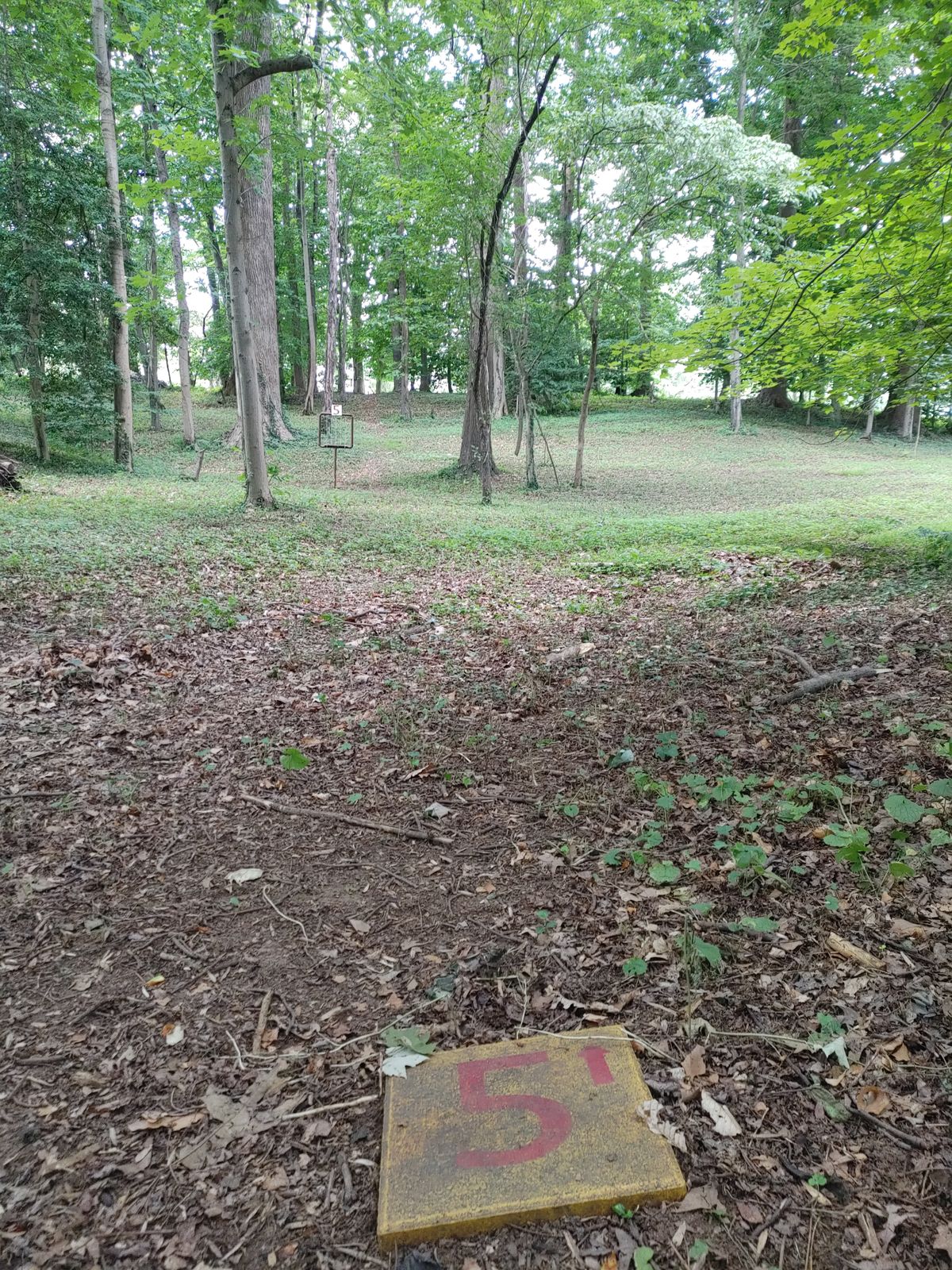 Fifth tee