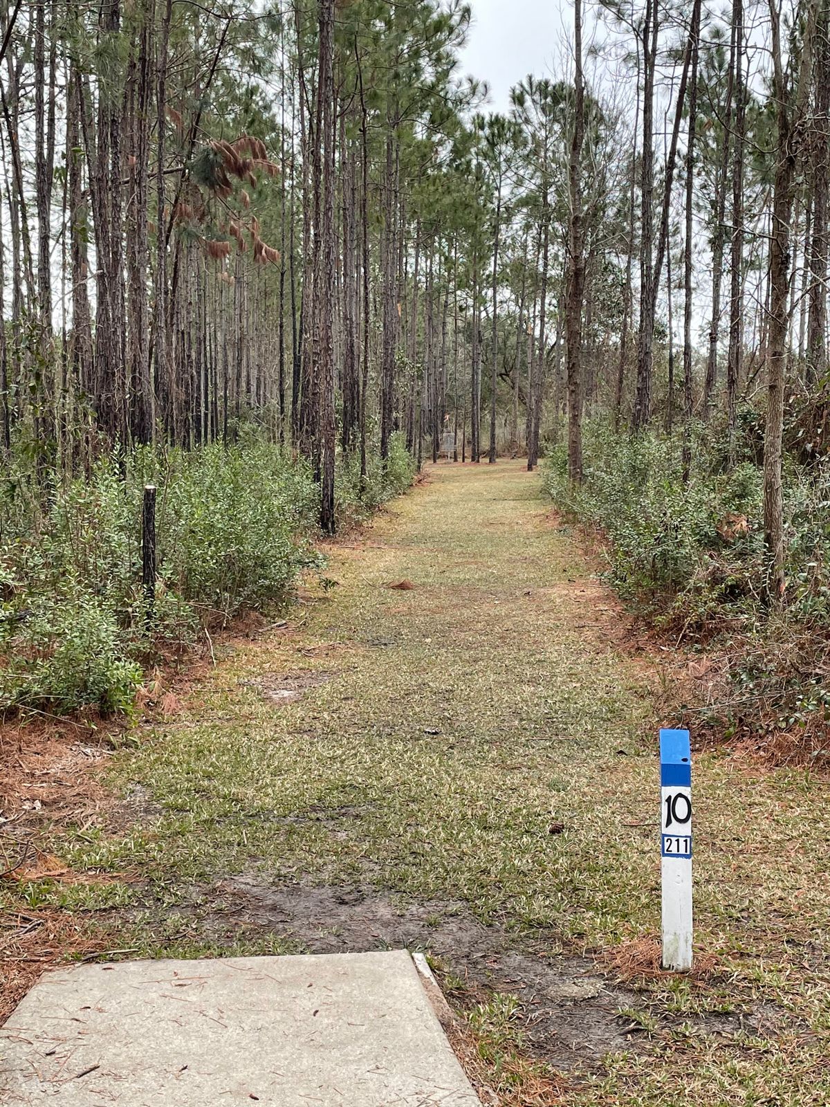Hole 10