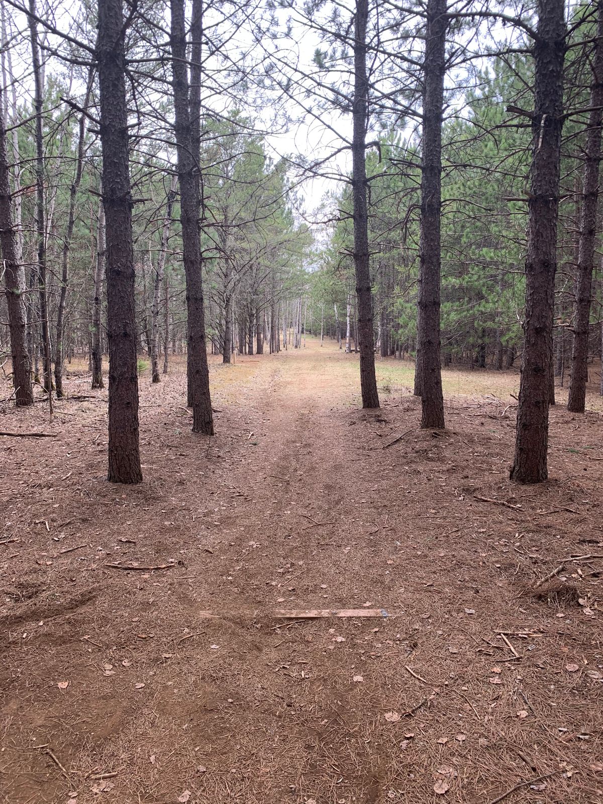 Hole 2 tee box (long)