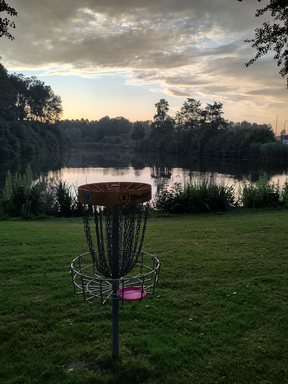 Midsummer evening on hole 20's basket