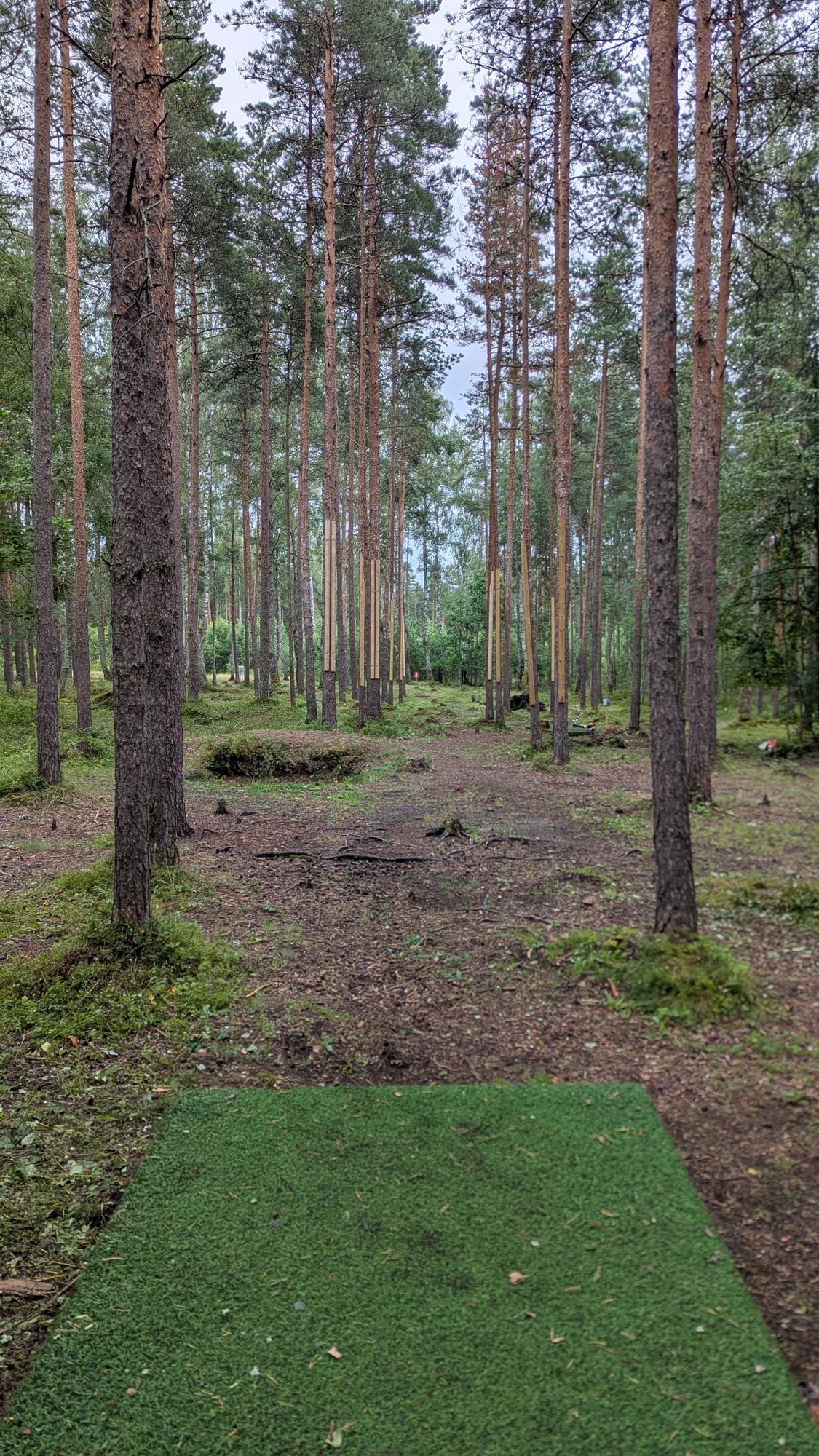 Hole 12 view from the Pro teepad. One of the tightest gaps to hit on the entire course.