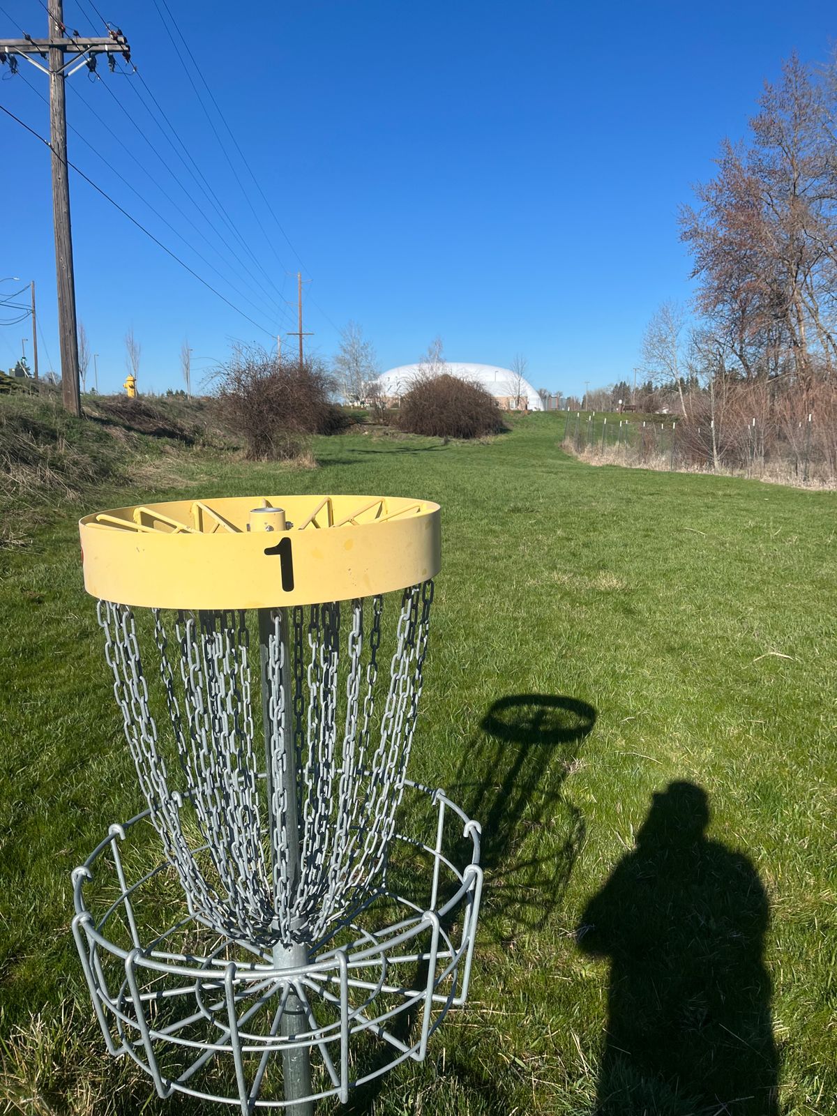 Looking back at tee pad