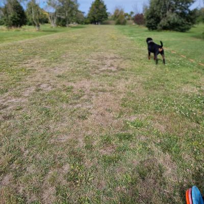 Tee 2  OB ditches and outside island