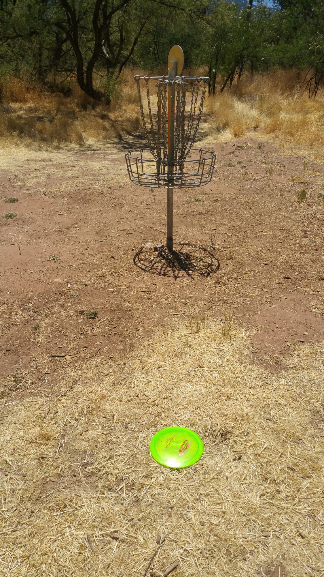 Basket for Hole 4