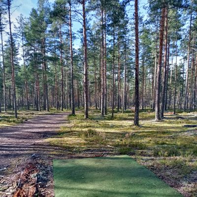 3. väylä