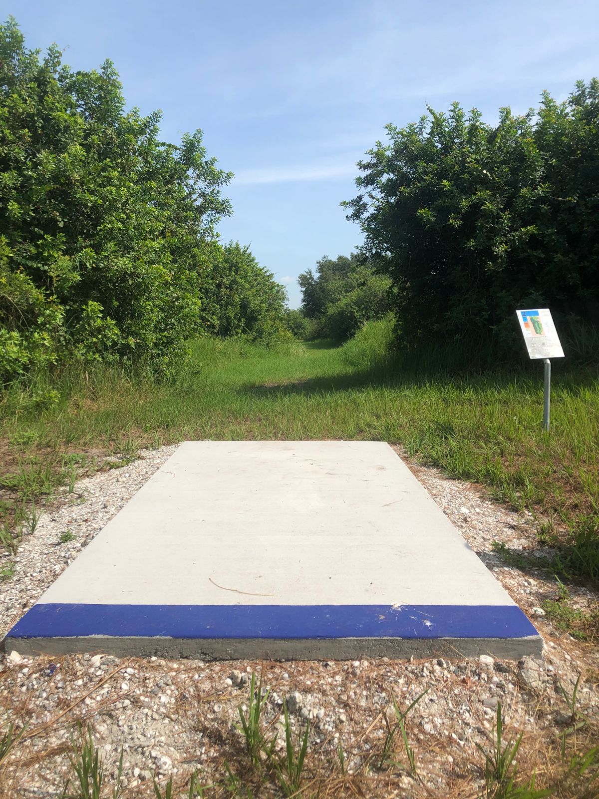 Hole 2 Blue Pad