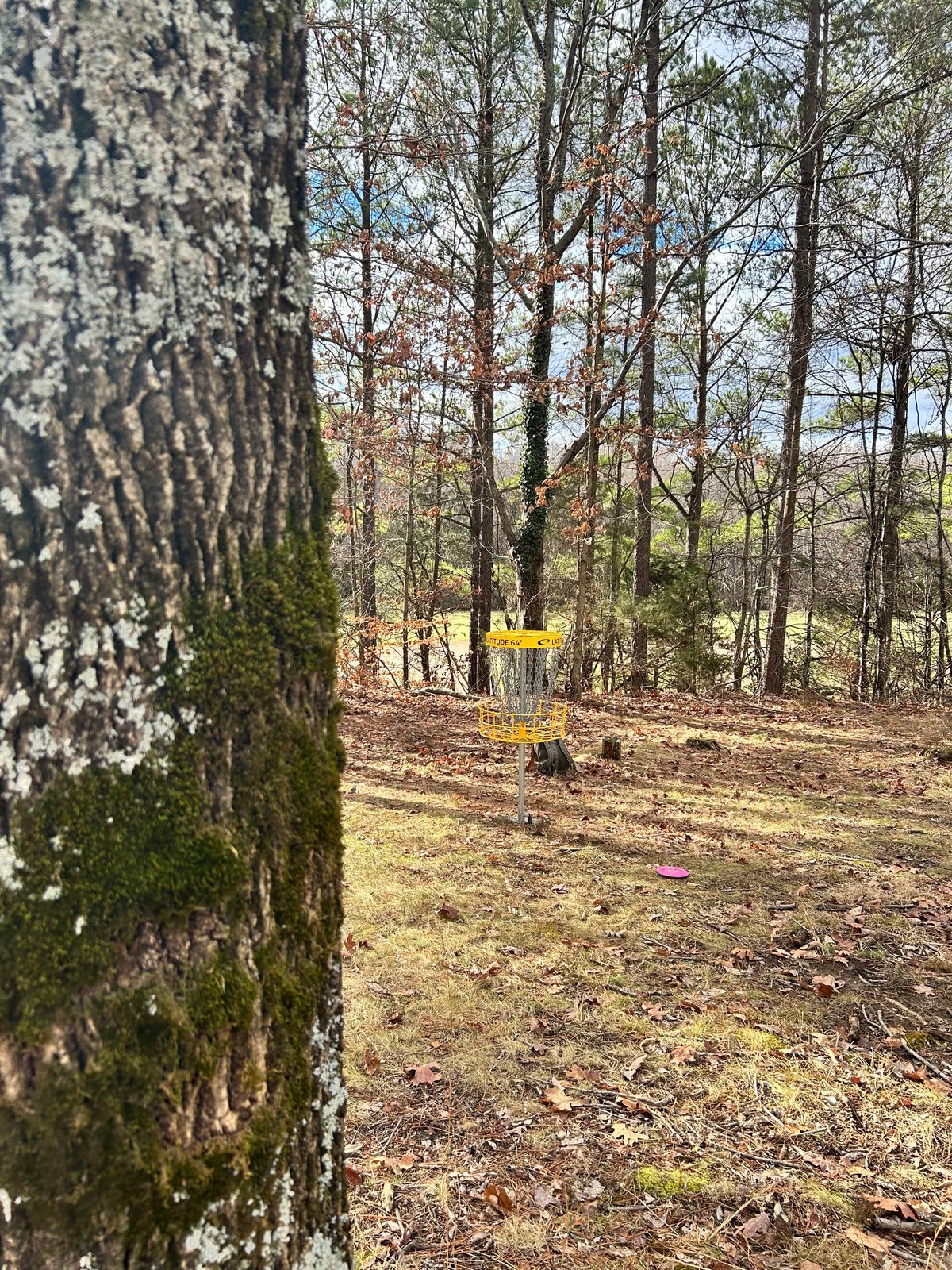 Hole 8 putting green