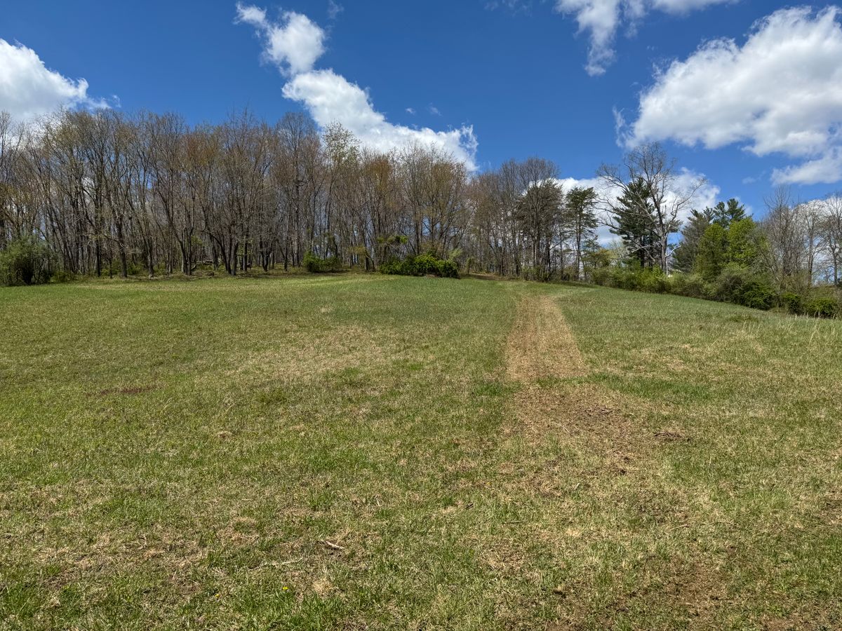 Hole 12 tee