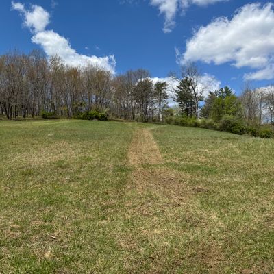 Hole 12 tee
