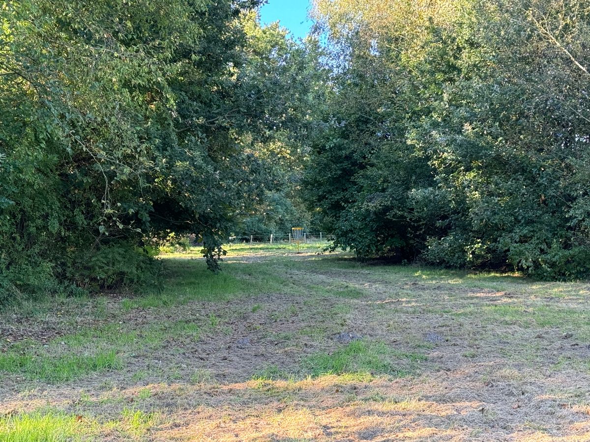 Hole 5 blue