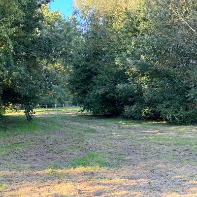 Hole 5 blue