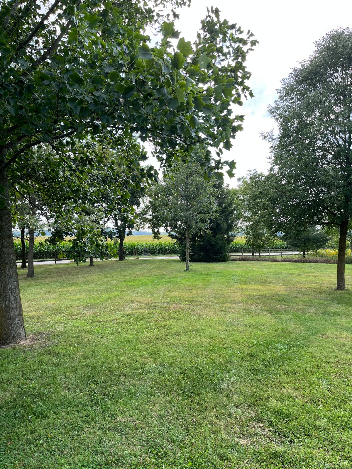 Basket of hole 9.