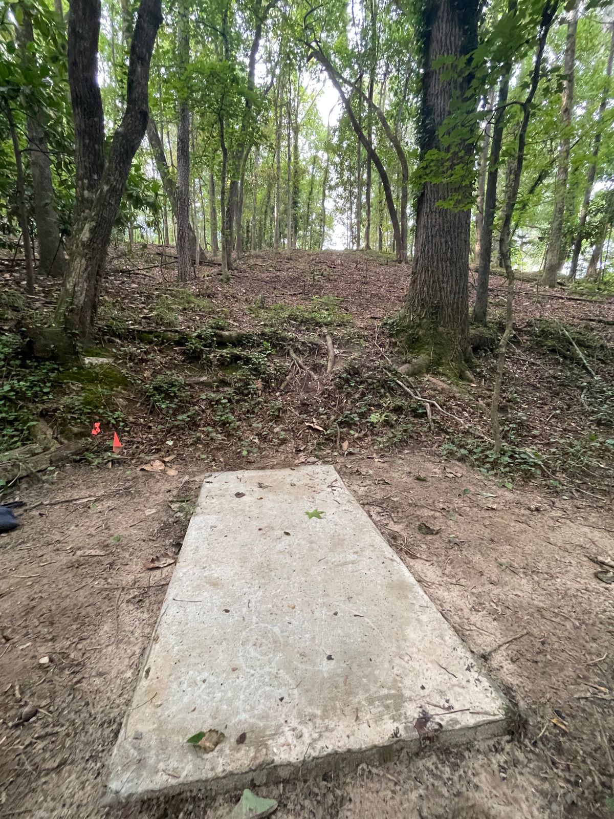 Tee 11