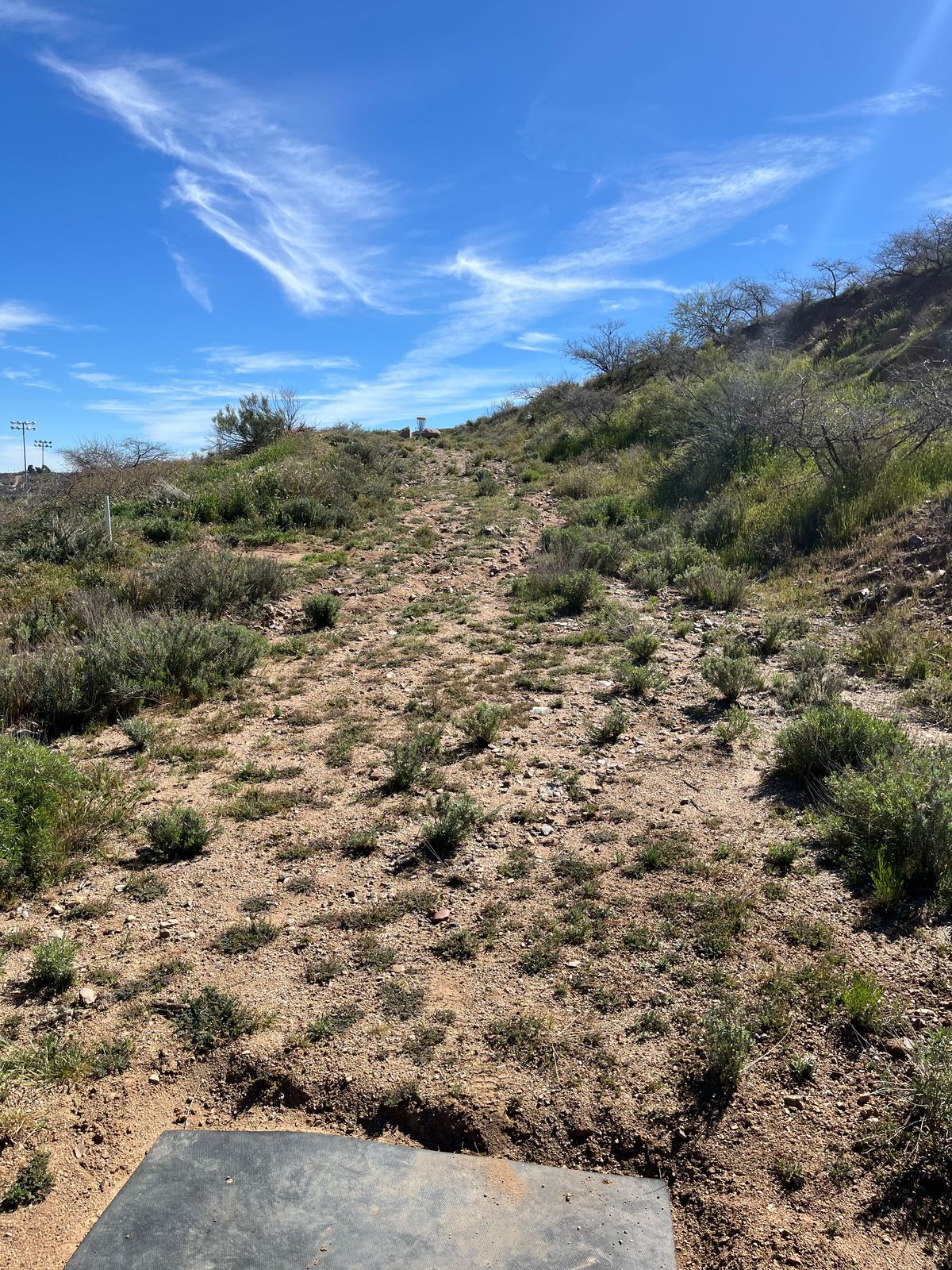 looking at the basket from the teepad