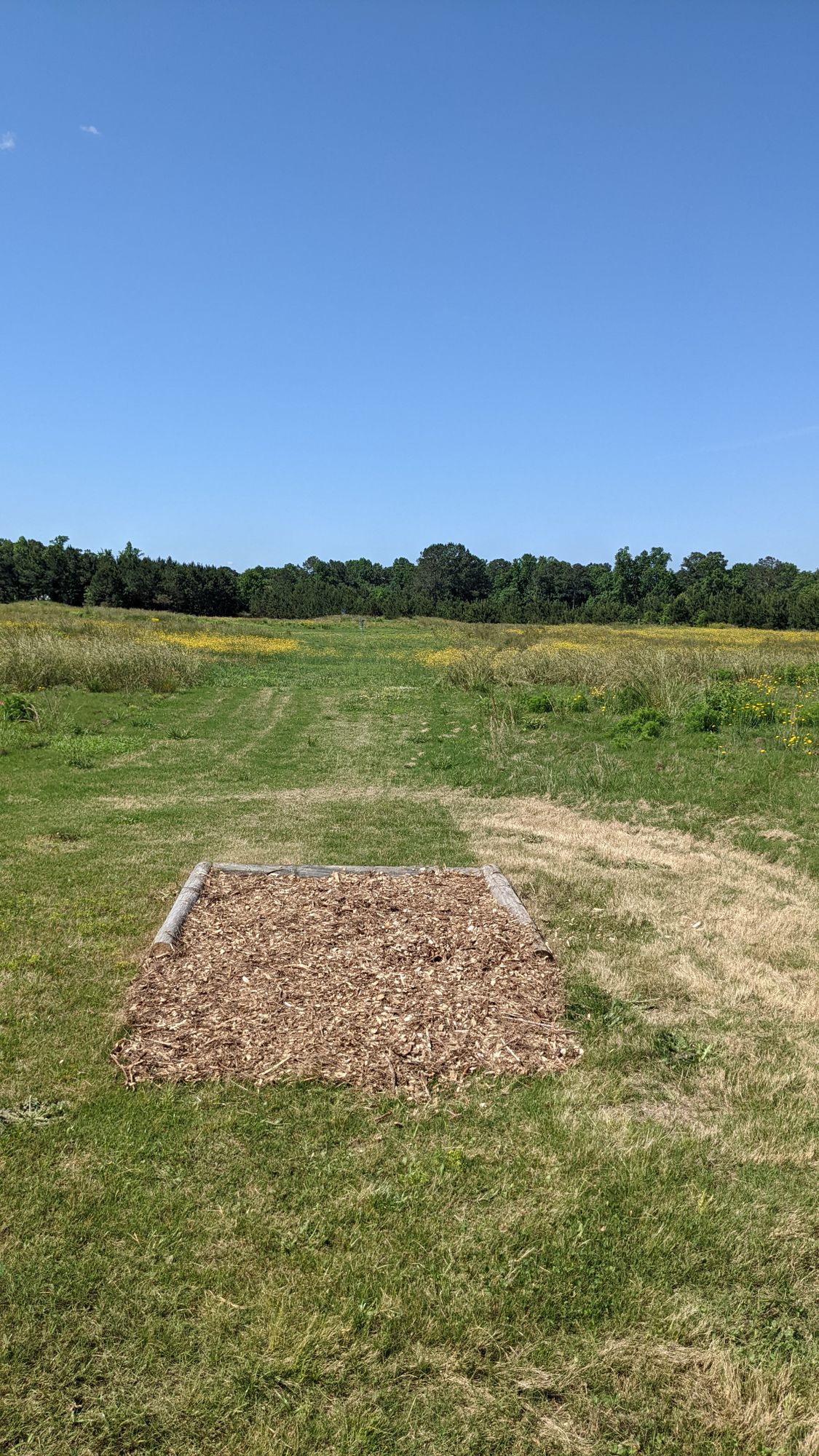 #4 teebox and fairway