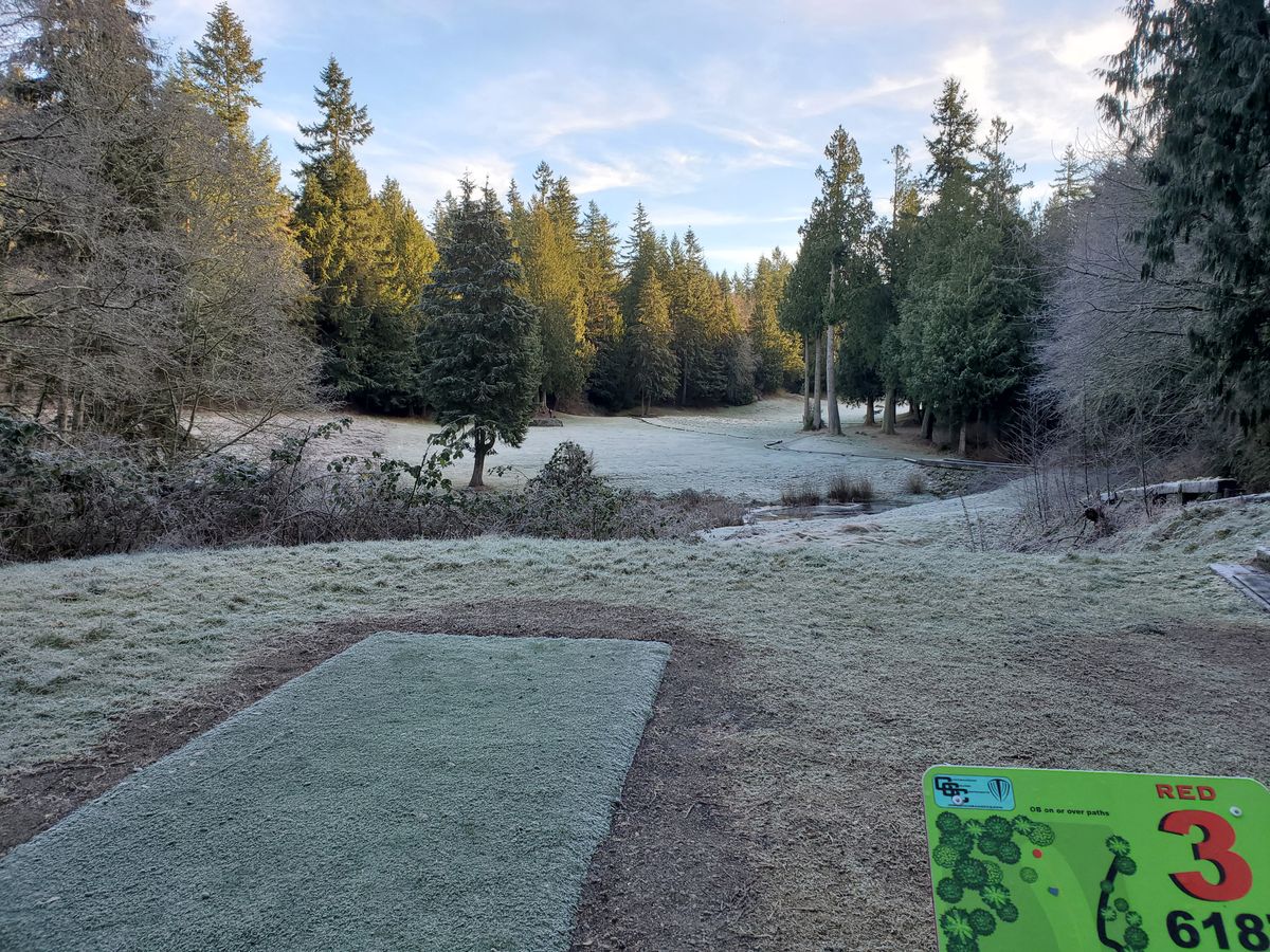 Hole three goes over a small pond/creek