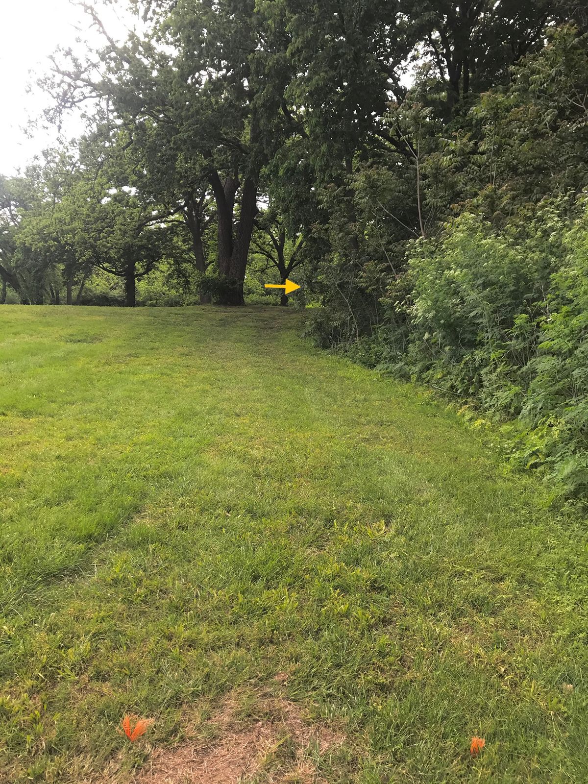 Hole 2 Tee