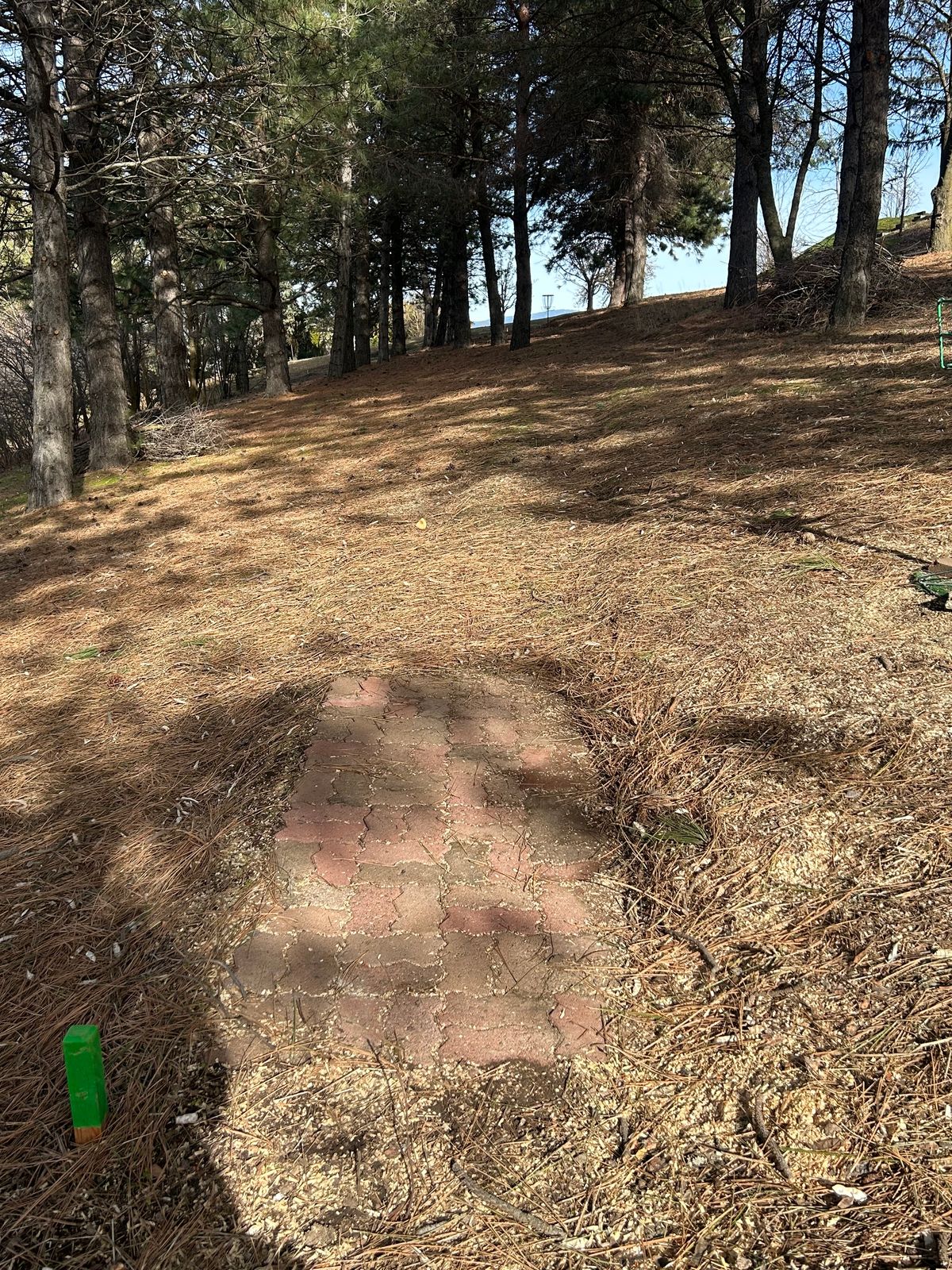 Hole #7. 172’. Uphill on Skeeter Alley.