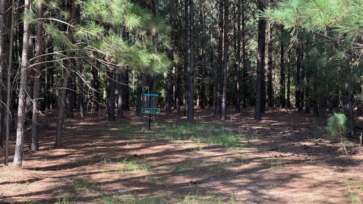 Hole 2: Basket