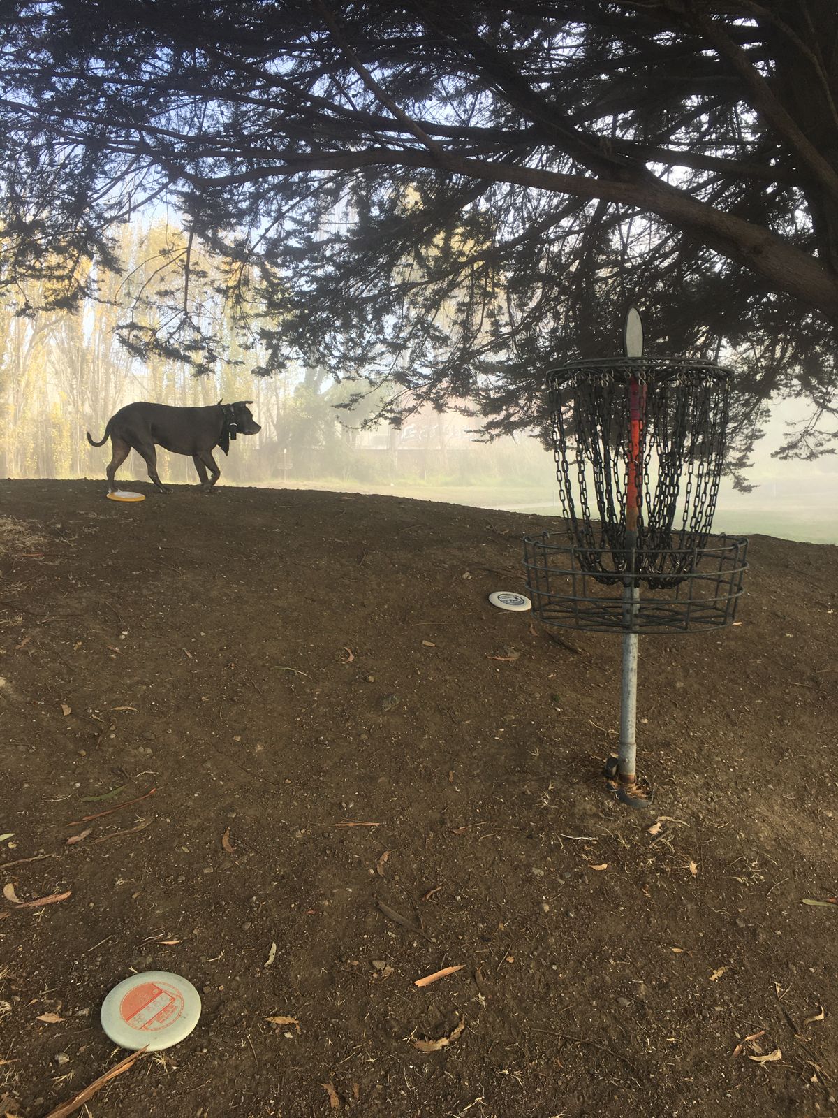 Hole 1