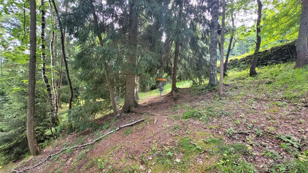 Hole 8
