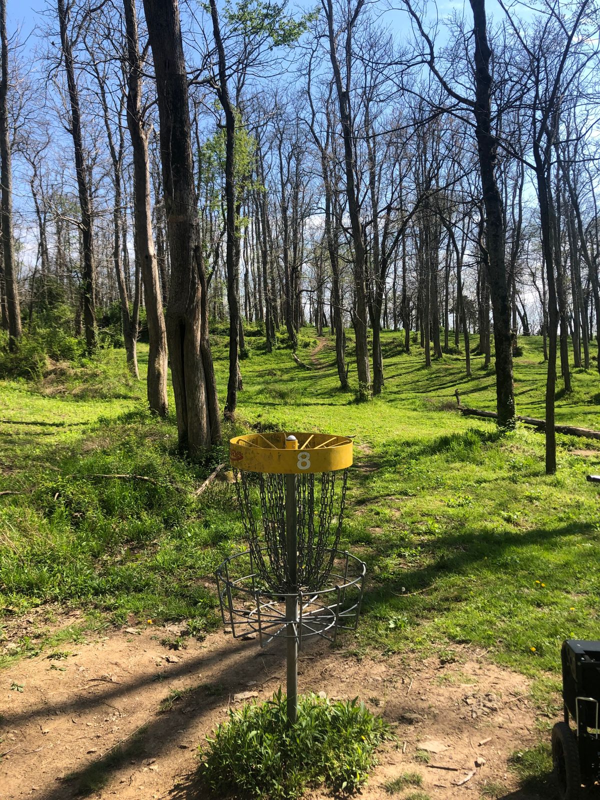 Hole 8 pin