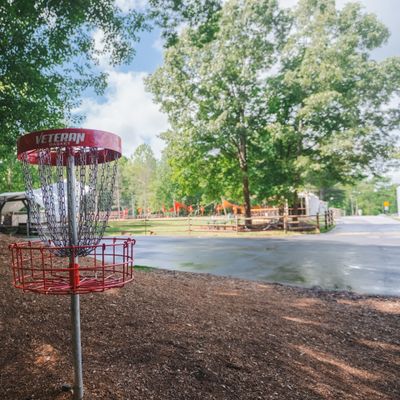 Hole 9 long basket