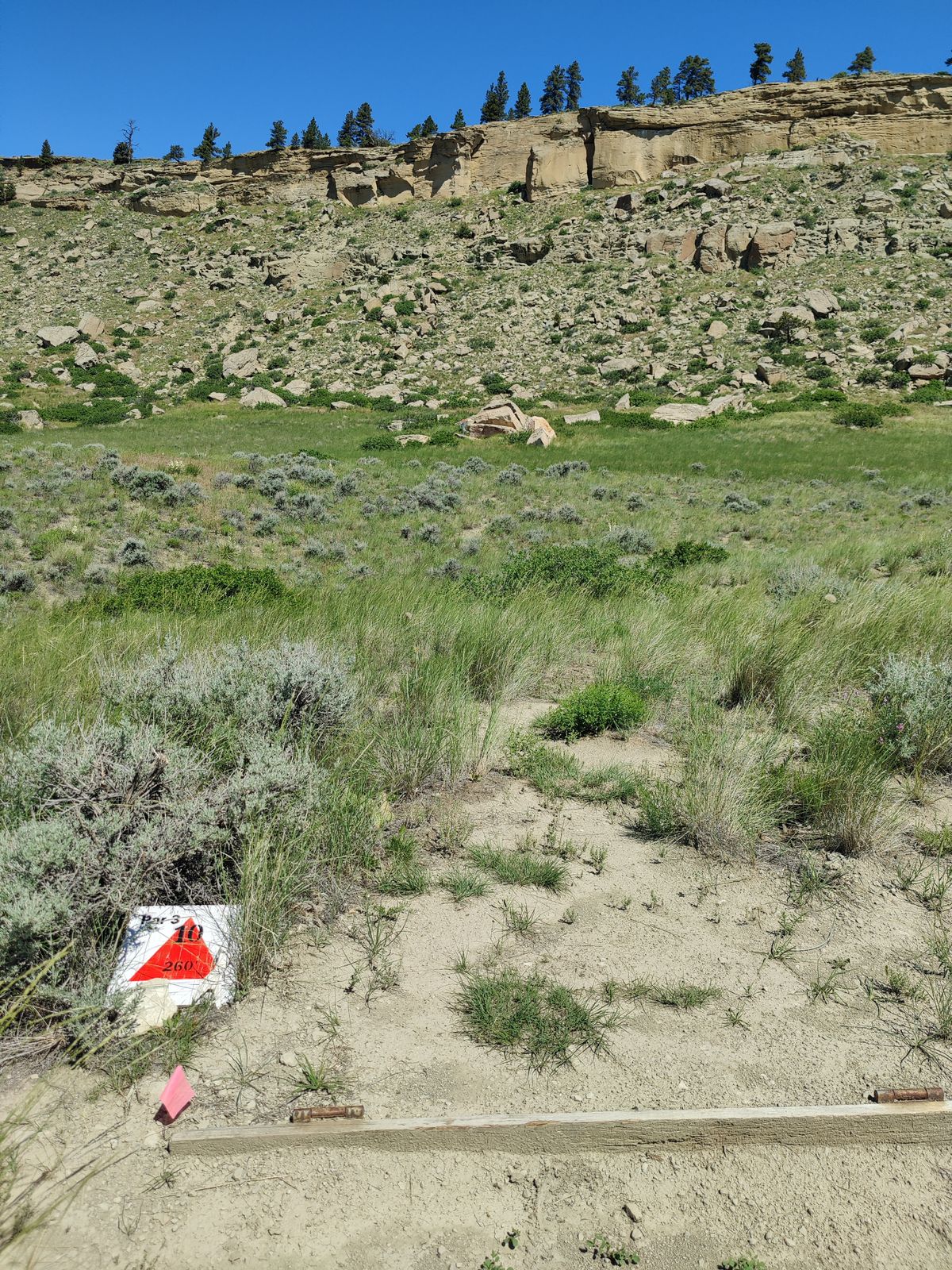 Hole 10 tee
