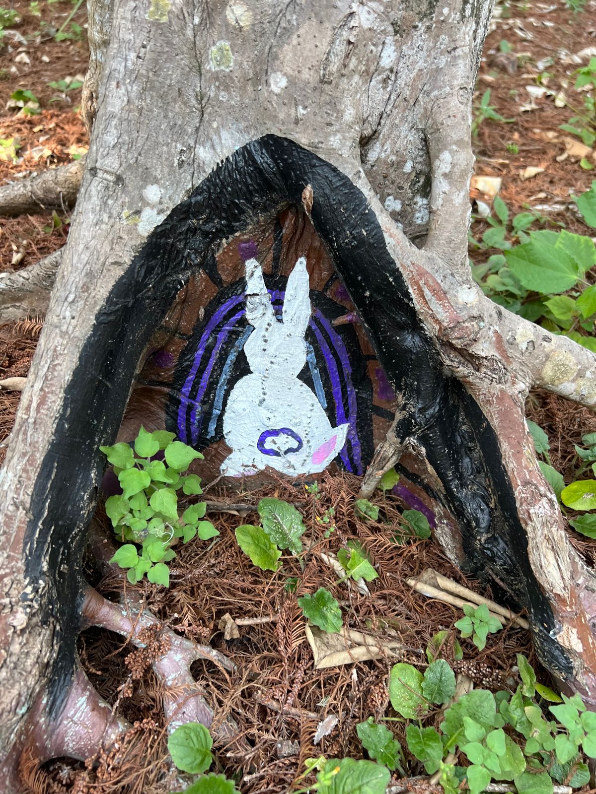 Hidden Rabbit