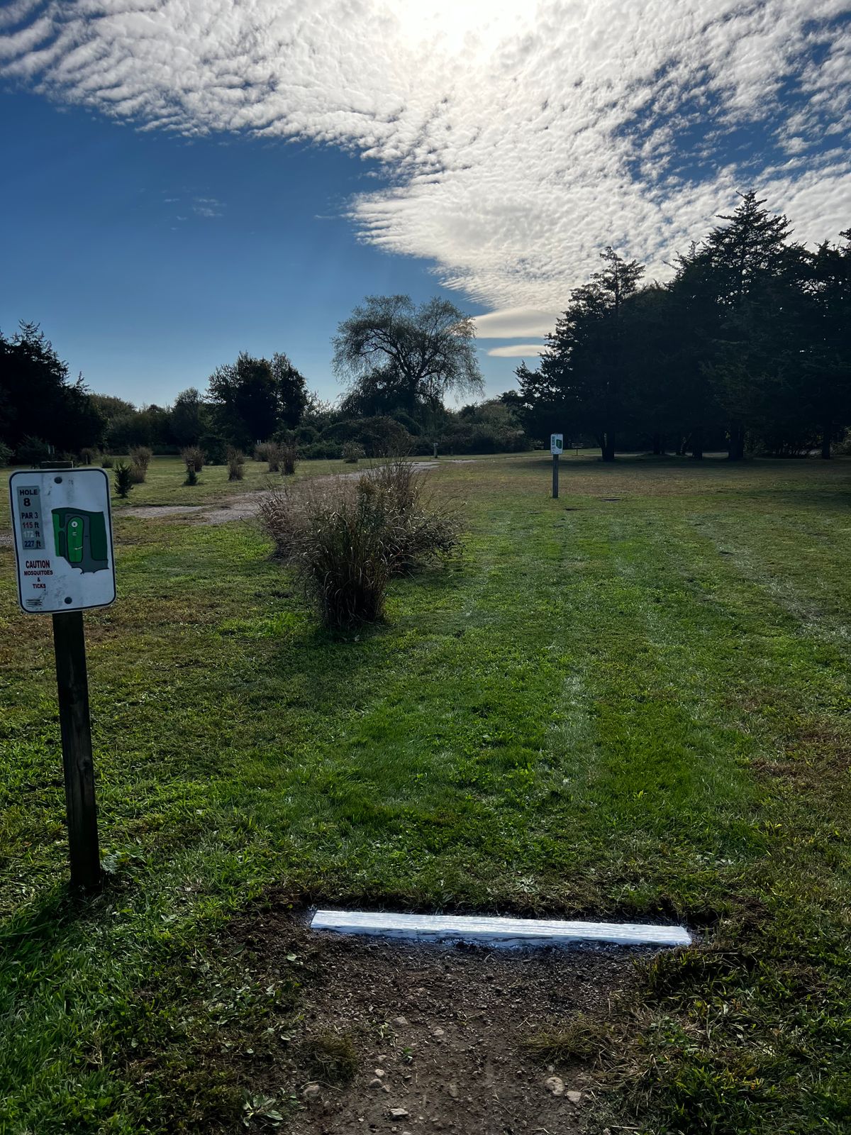Hole 8 White