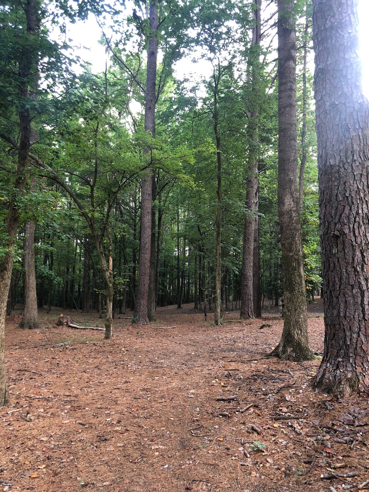 Hole 3