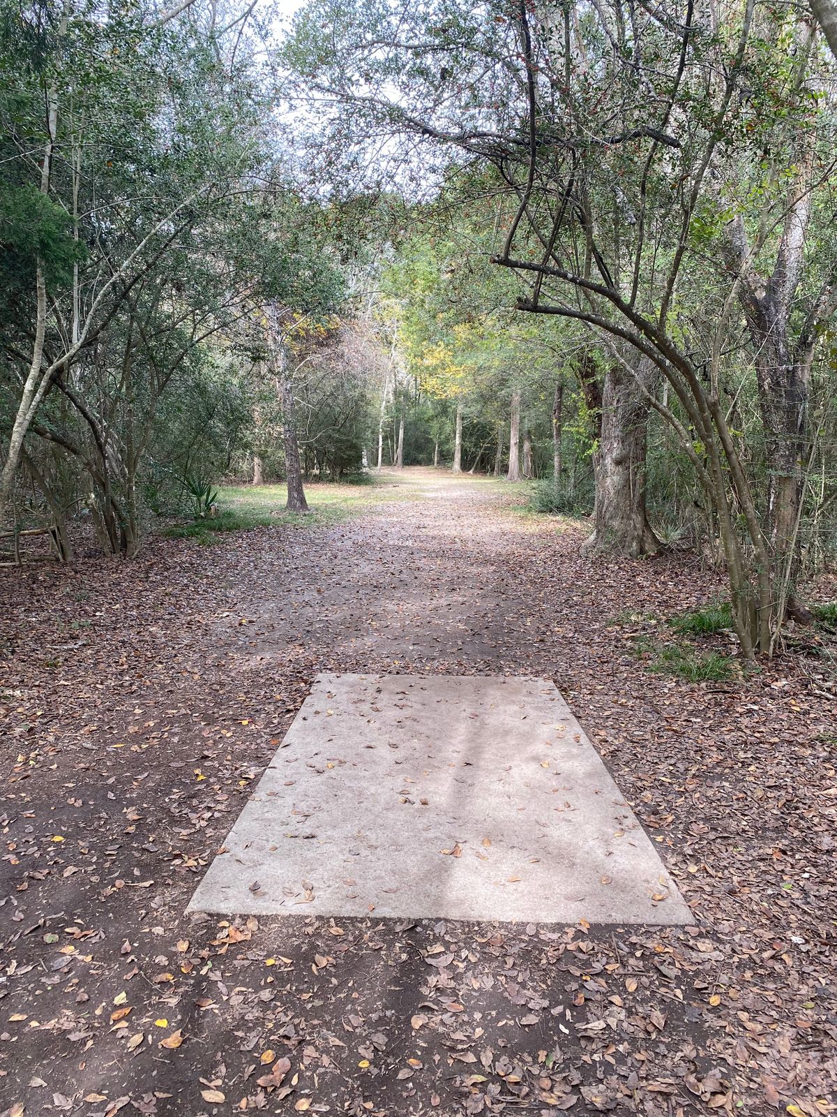 Teepad for hole 5. Demanding par 3.