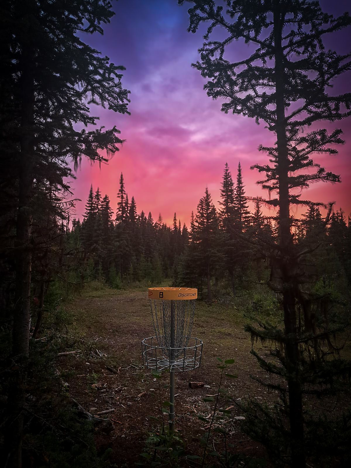 Currently hole 7, old 8