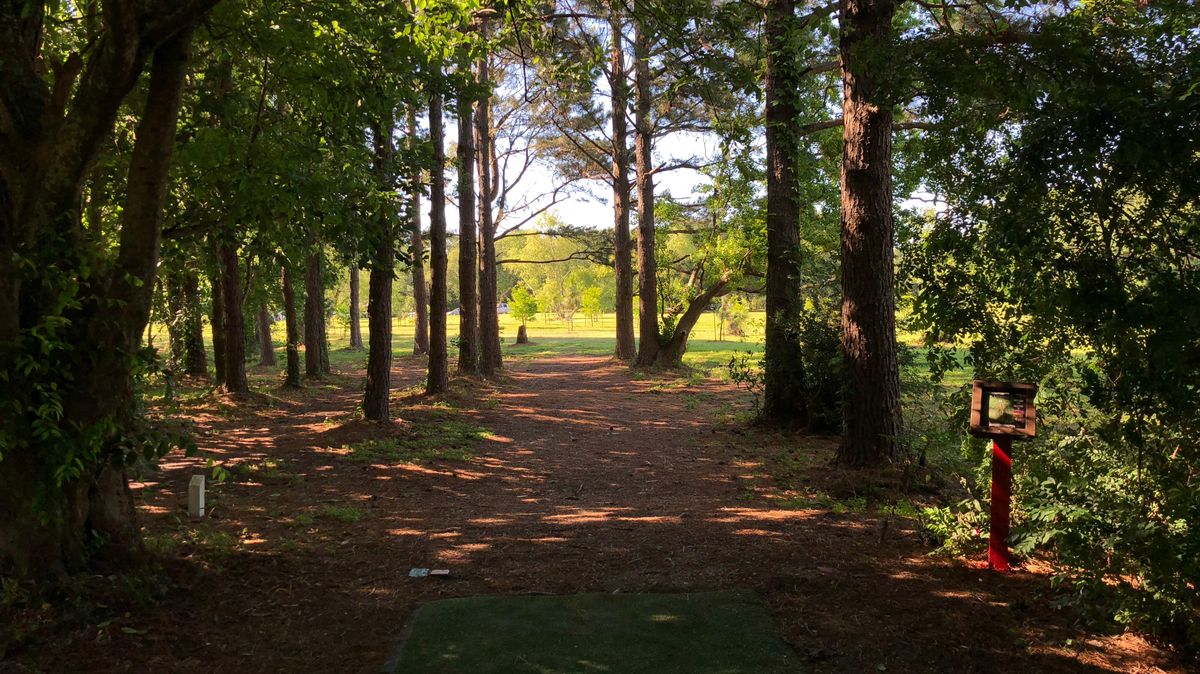Hole 10