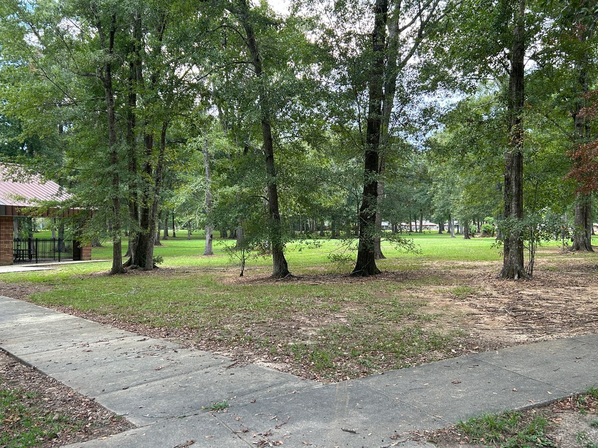 Course Aesthetic