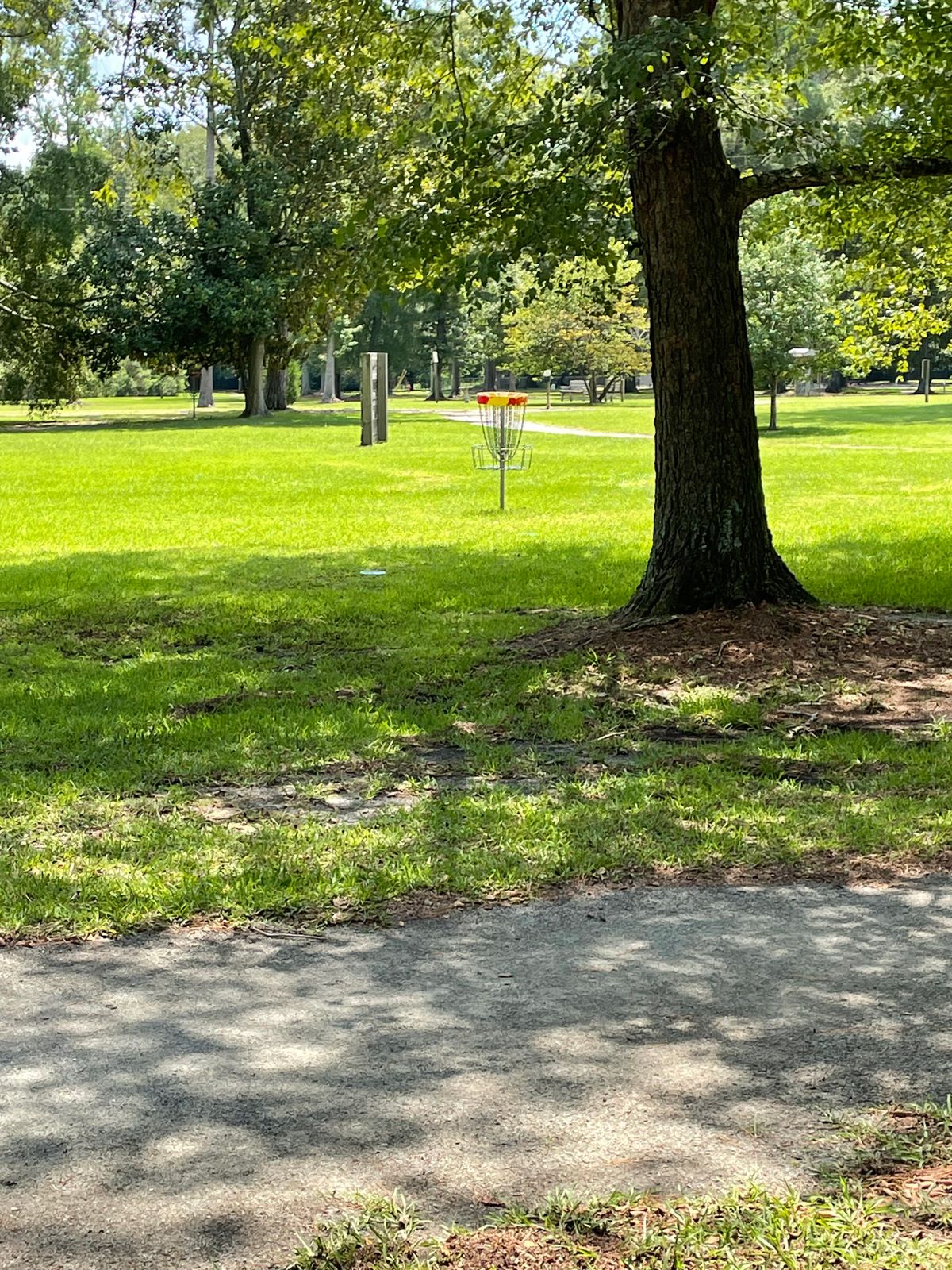 Approach to the basket from White/Red tee