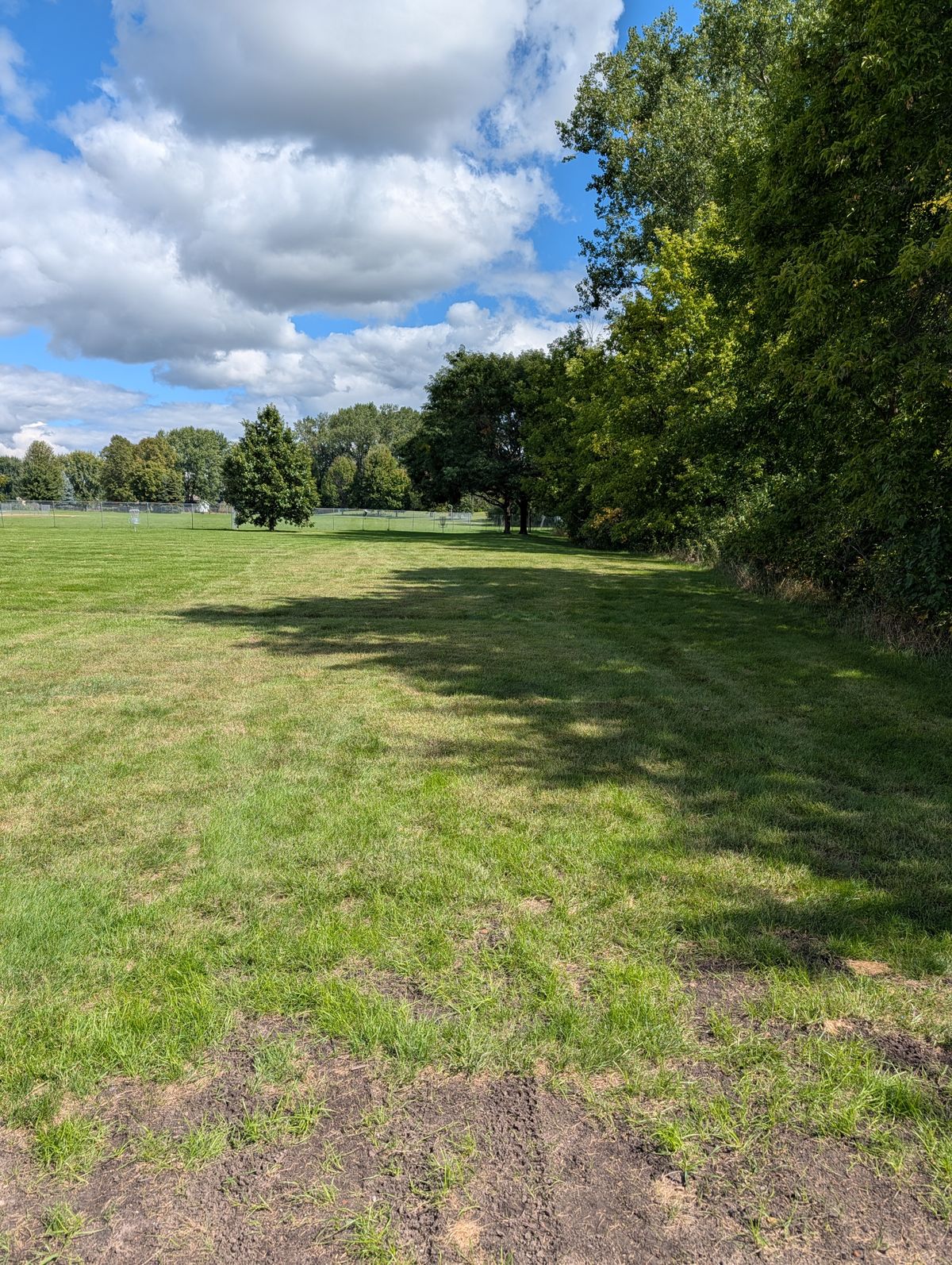 Hole 4
