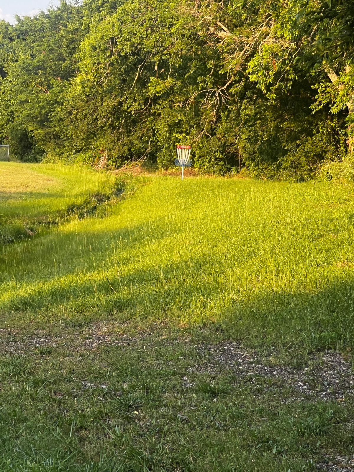 Hole 7 Fairway