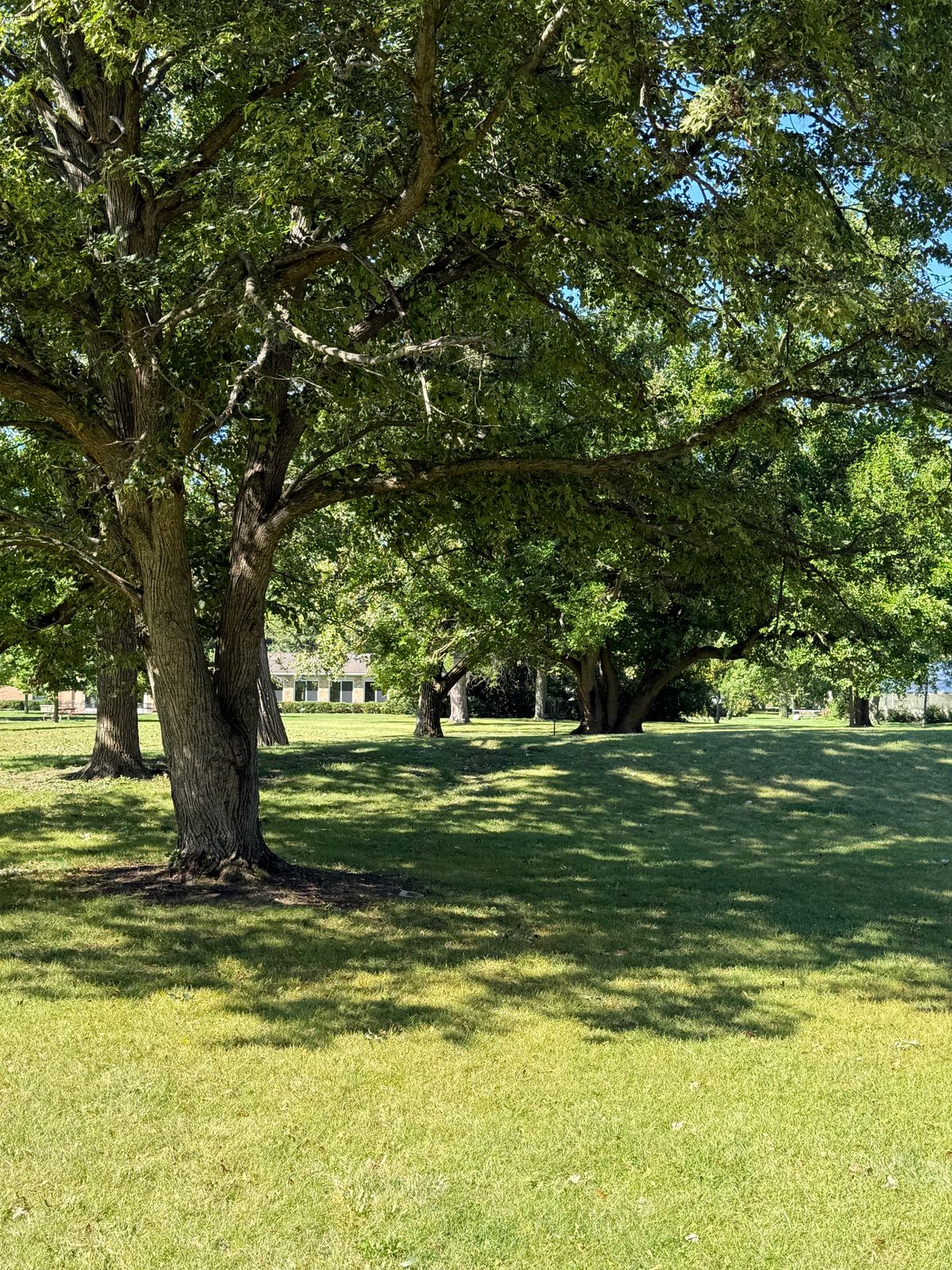 Tee 17 approach
