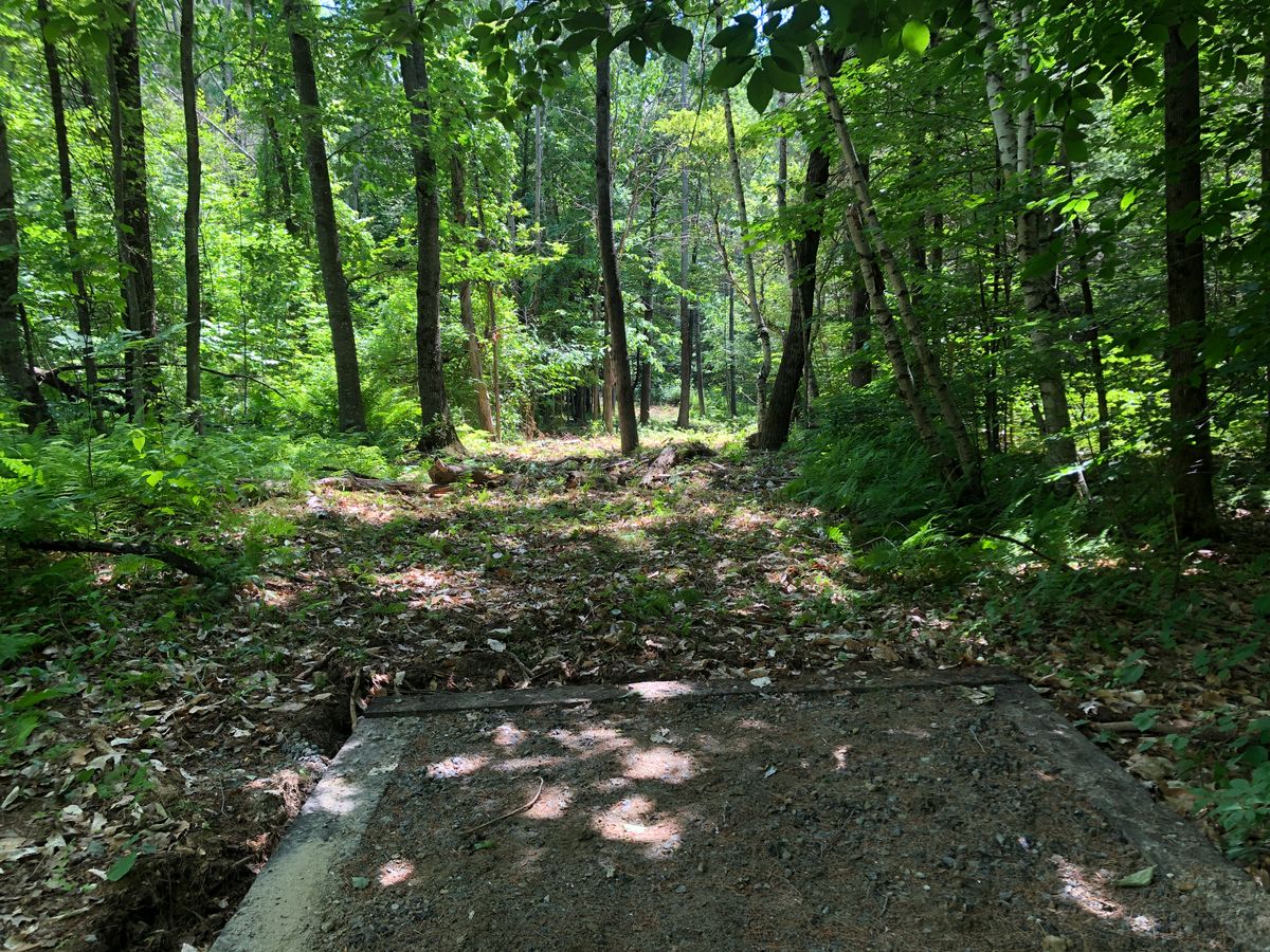 Hole 5