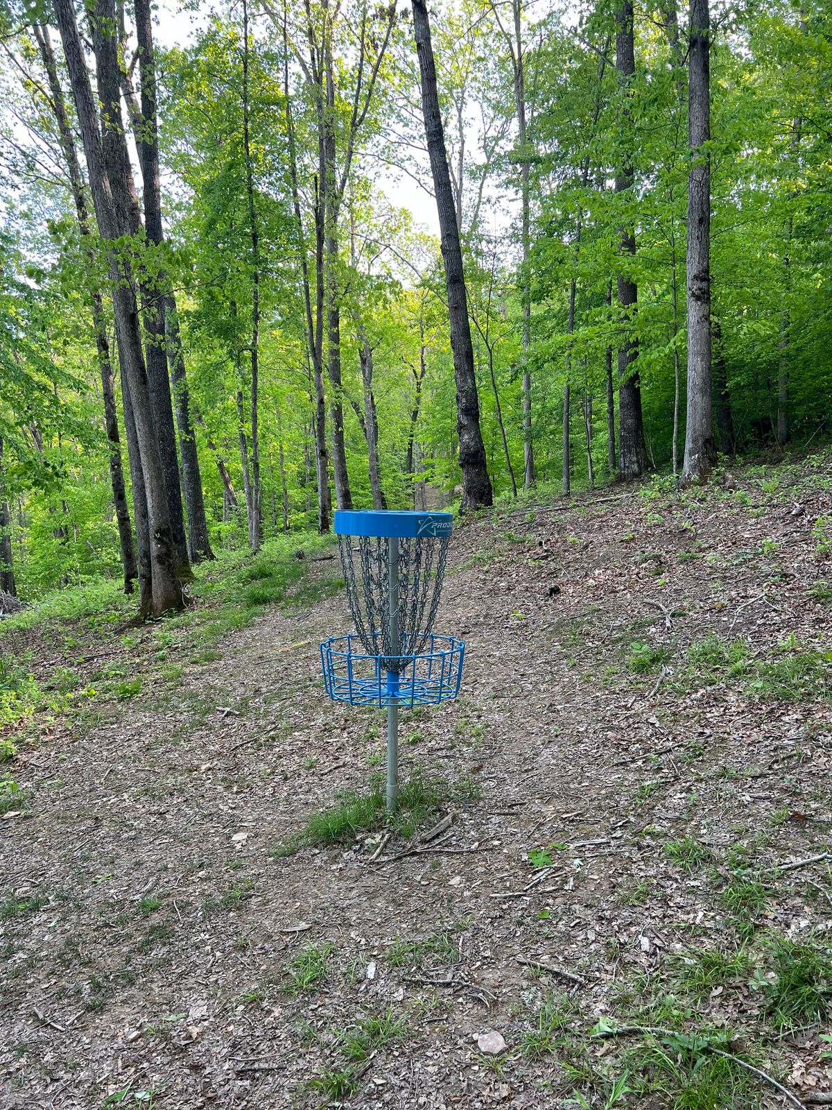 Hole 13 Basket to Tee