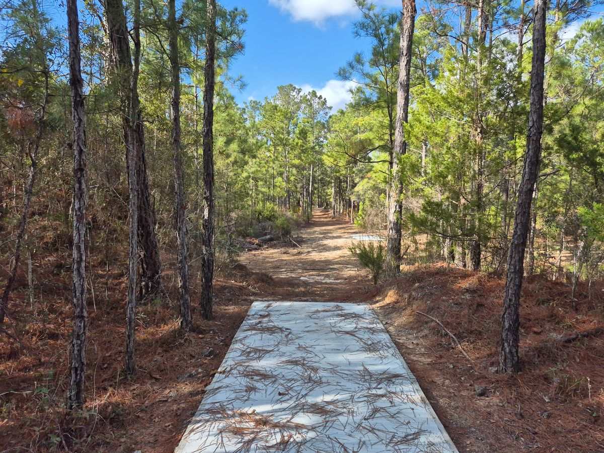 Hole 12 long pad